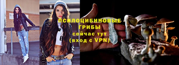 дурь Елабуга