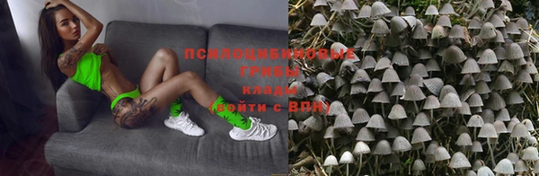 каннабис Дмитриев